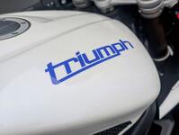 TRIUMPH DAYTONA 675