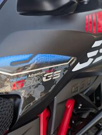 BMW G310GS
