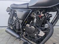 MUTT FSR 125