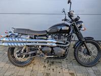 TRIUMPH Scrambler