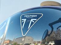 TRIUMPH Bobber