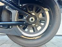 HARLEY-DAVIDSON Softail