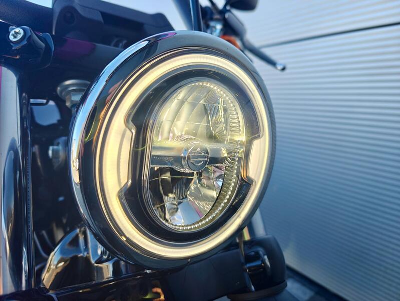 HARLEY-DAVIDSON Softail