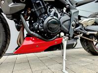 TRIUMPH STREET TRIPLE 675