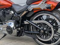 HARLEY-DAVIDSON Softail
