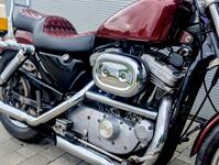 HARLEY-DAVIDSON Sportster