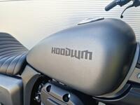 SINNIS HOODLUM