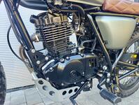 MUTT MASTIFF 125