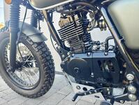 MUTT MASTIFF 125