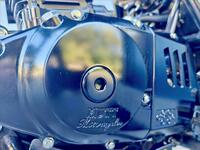 MUTT MASTIFF 125